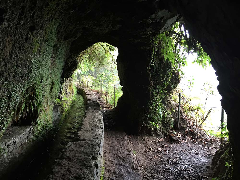 Levada walk in Madeira: Caldeirão Verde