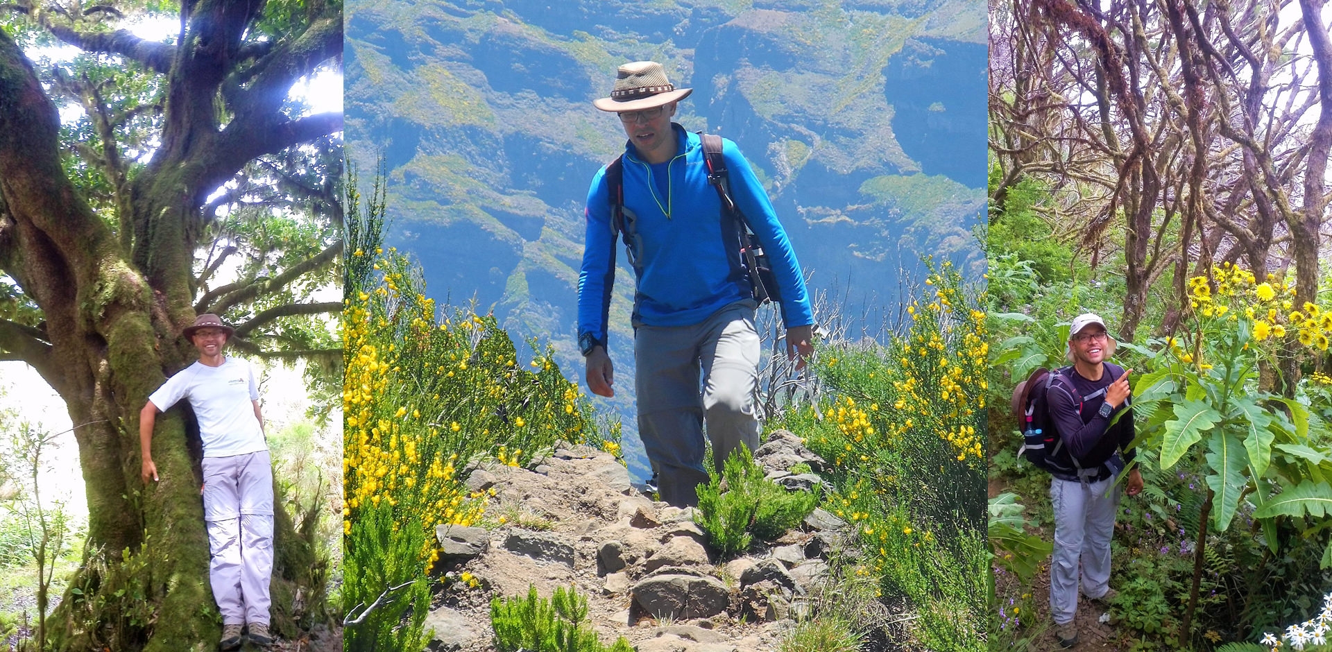 Ludovic, guide de montagne, de randonnée et de trek à Madère