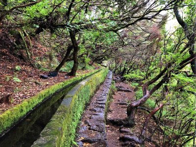 randonnee-trek-levada-rabacal-25fontaines3