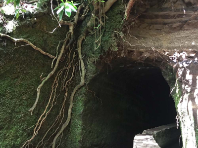 randonnee-trek-madere-chaudron-vert7